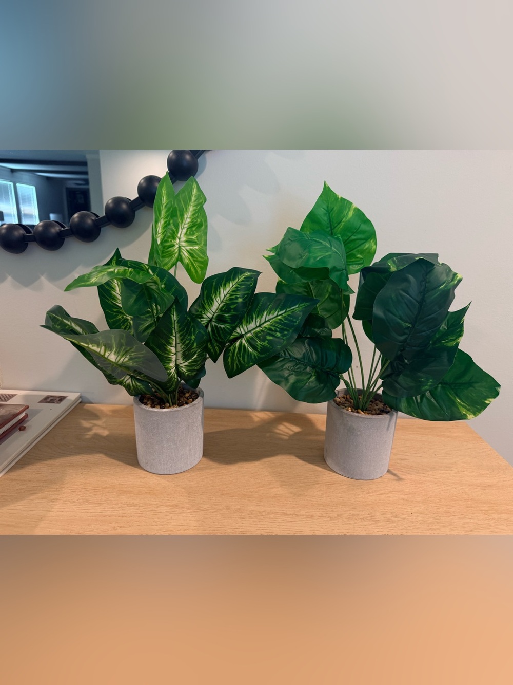 Set of 2 Faux Tropical Plants in Concrete Look Pots 14–15”